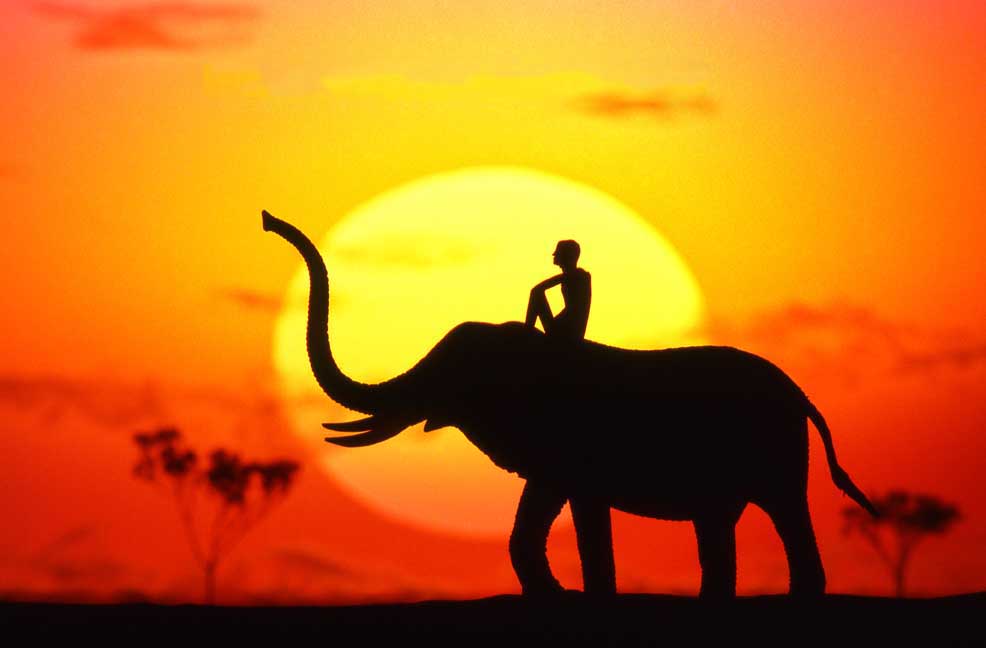 African Sunset